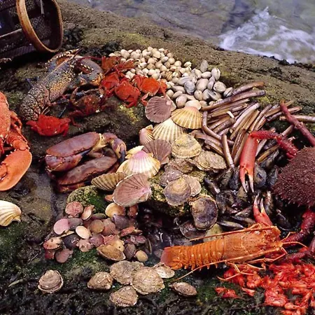 Spacious In With Sea And Mountain Views - 110 M² Apartment