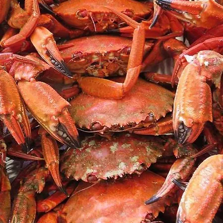 Apartment Spacious In With Sea And Mountain Views - 110 M² Malpica